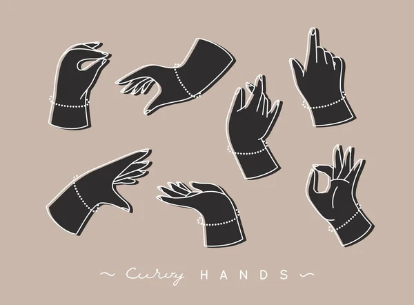 Set Curvy Hands Fingers Icons Different Positions Drawing Black Color — Stock Vector