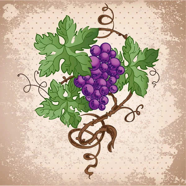 Ilustracja winogron na tło grunge — Wektor stockowy