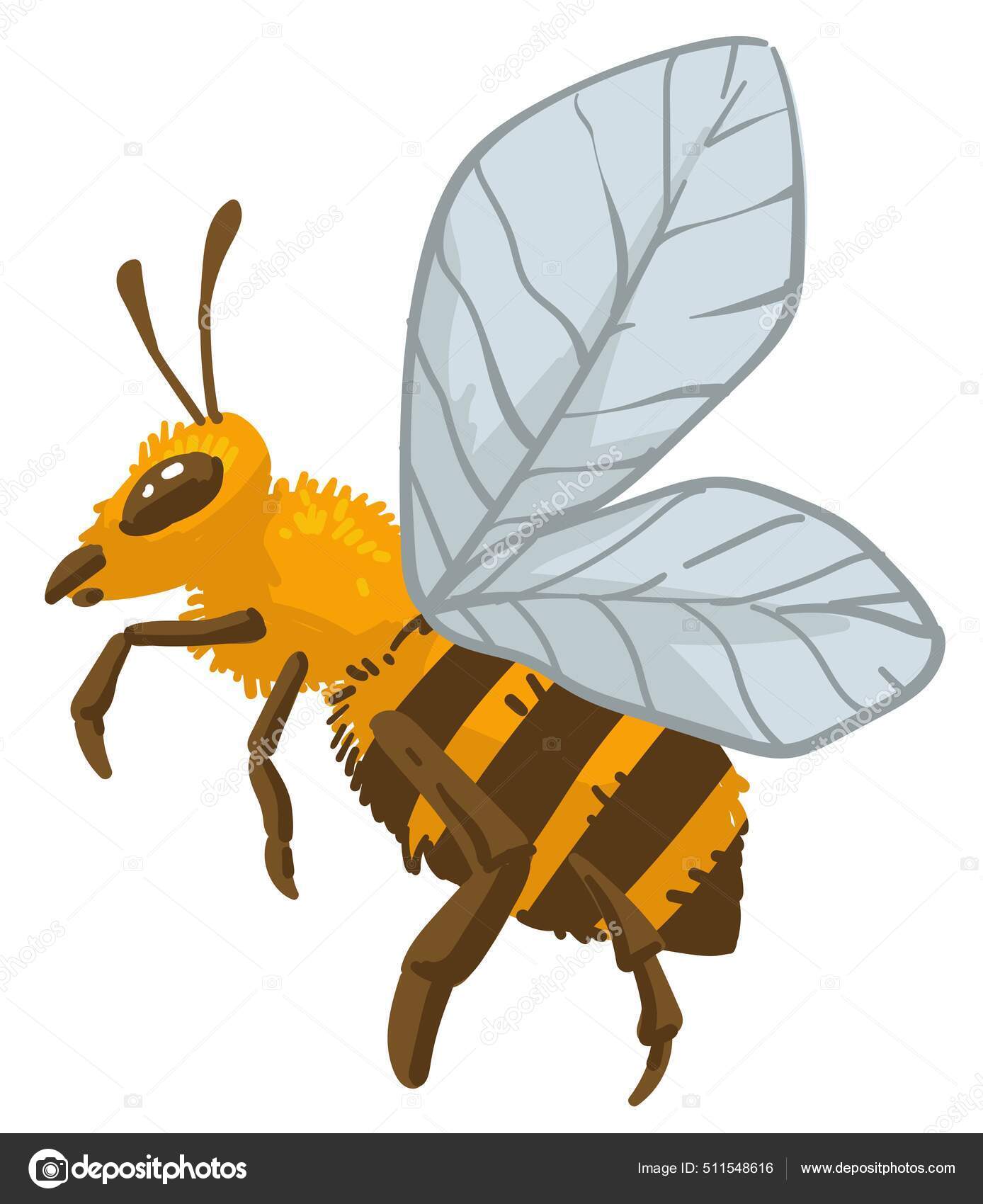 Insect Wings Antennae Isolated Bumblebee Wildlife Nature Beekeeping  Agriculture Icon Stock Vector Image by ©Sonulkaster #511548616