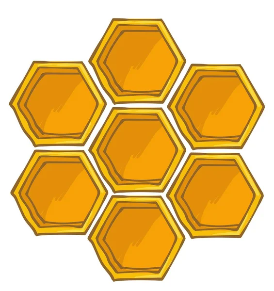 Biodling Och Ekologisk Odling Söt Honung Isolerad Hexagon Masoic Bikupa — Stock vektor