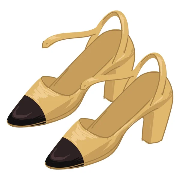 Sapatos clássicos nos saltos para as mulheres moda e estilo — Vetor de Stock
