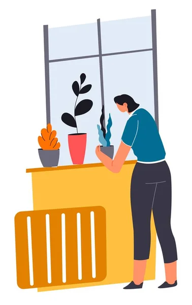 Woman cleaning house caring for plants in pots — Stock Vector