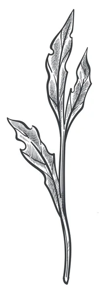 Floral summer, leaf monochrome sketch outline — Stock Vector