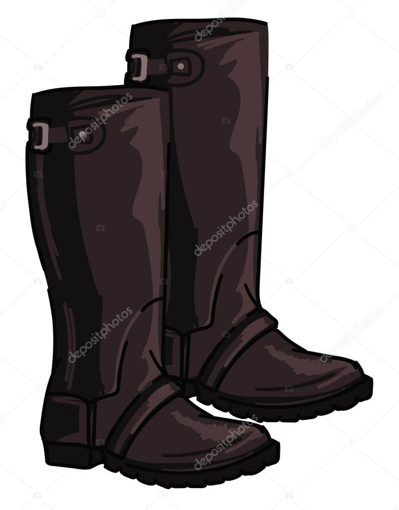 Stivali da caccia inglesi con fermagli e pelle - Vettoriale Stock di  ©Sonulkaster 511557724