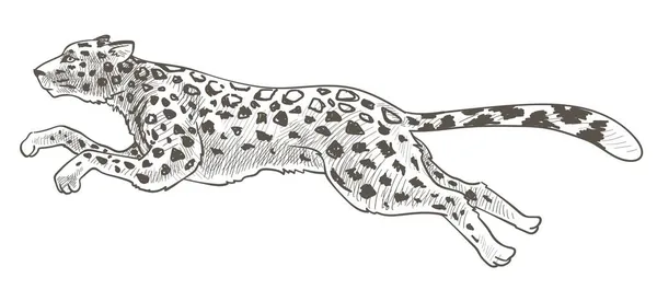 Correr guepardo o leopardo animal en movimiento vector — Vector de stock