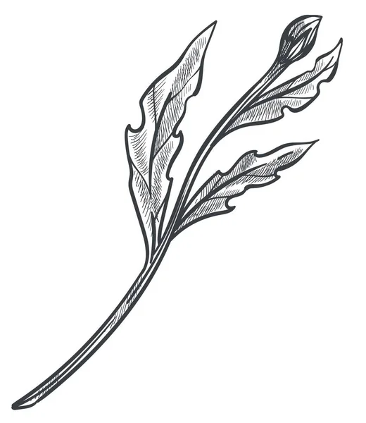 Planta en crecimiento, flor con brote, tallo y hojas — Vector de stock