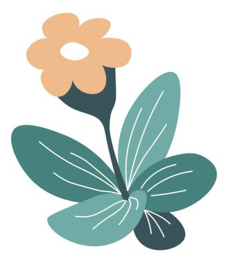 Çiçek açan çiçek, çiçek açan çiçek sapı ve yaprak.