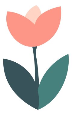 Çiçek açan lale çiçeği, çiçek açan çiçek vektörü.