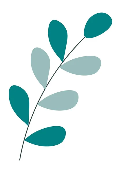 葉を持つ常緑植物の枝、植物装飾 — ストックベクタ