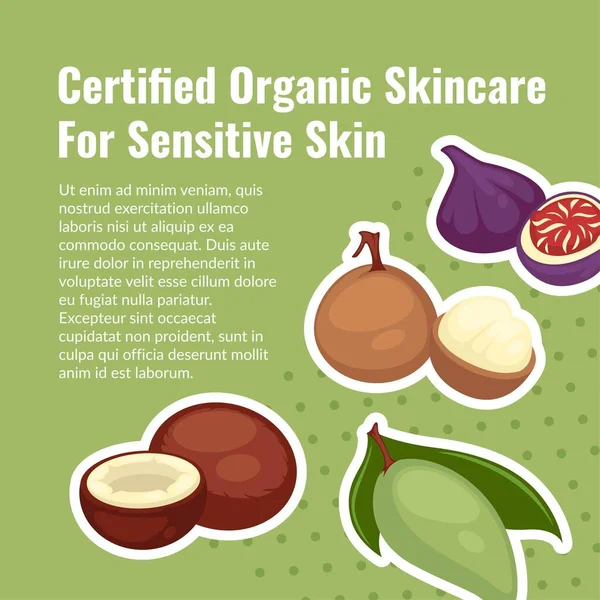 Zertifizierte Bio-Hautpflege für empfindliche Haut — Stockvektor