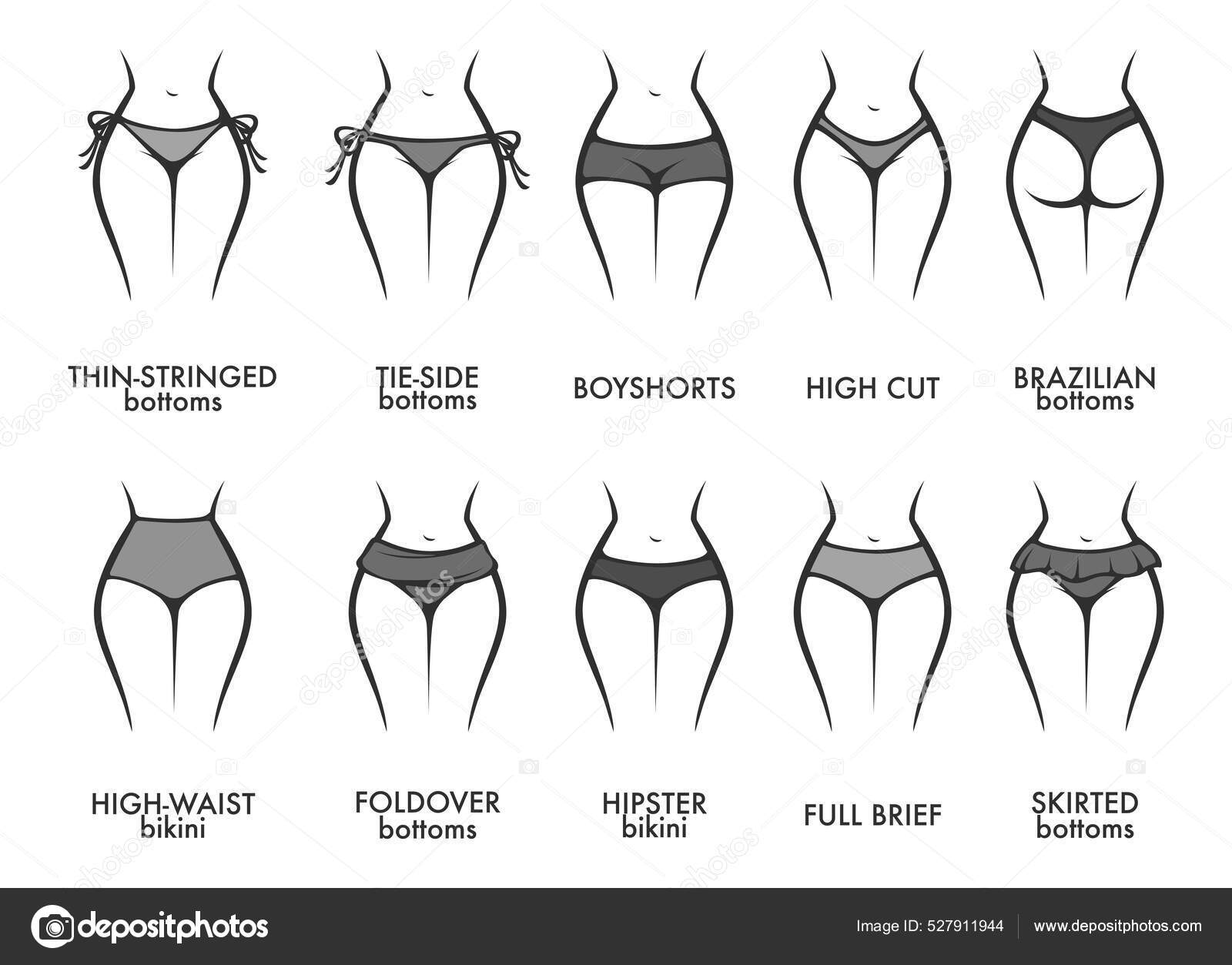Woman panties models and types of clothes vector Stock Vector by