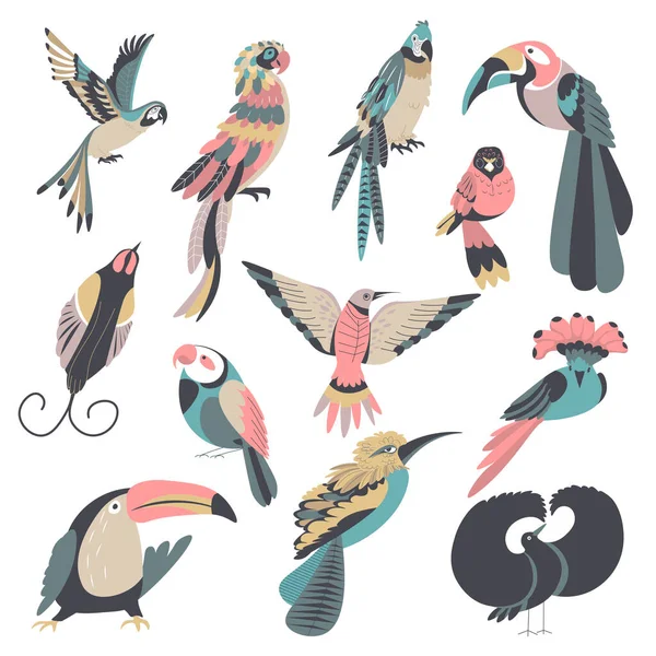 Aves exóticas y tropicales, vector de animales aviares — Vector de stock