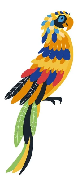 Lori arco iris, loro exótico vívido vector de aves — Vector de stock