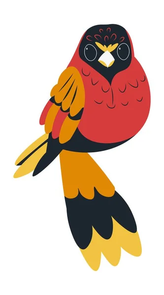 Eclectus perroquet avec plumage coloré et plumes — Image vectorielle