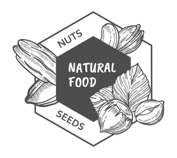 Natural food, nuts and seeds organic food vector — Stock Vector