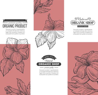 Dükkanda organik ürünler, doğal mağaza alışverişi