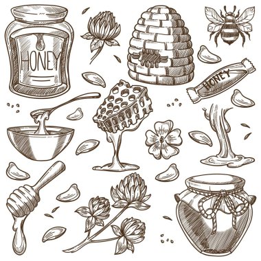 Arı kovanı ve bal Doğal üretim çiftliklerde