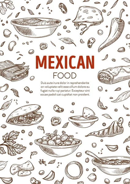 Mexican food menu, burrito and spicy dishes vector — Vettoriale Stock