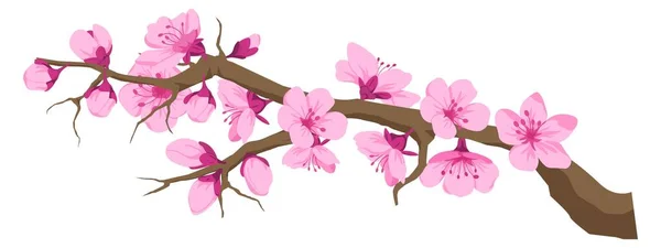 Větvička s třešňovými květy, sakura květiny na větvi — Stockový vektor