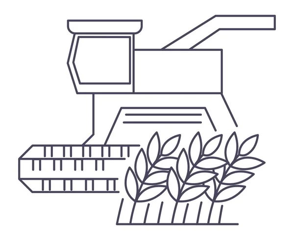 Weizenfeld, Erntezeit und Landwirtschaft — Stockvektor