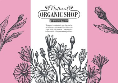 Organik mağaza, çiçekçi ya da kozmetik ürünler.