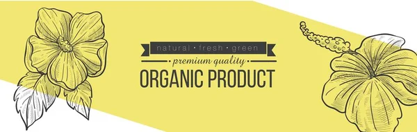 Produto orgânico em loja natural ou vetor de loja —  Vetores de Stock