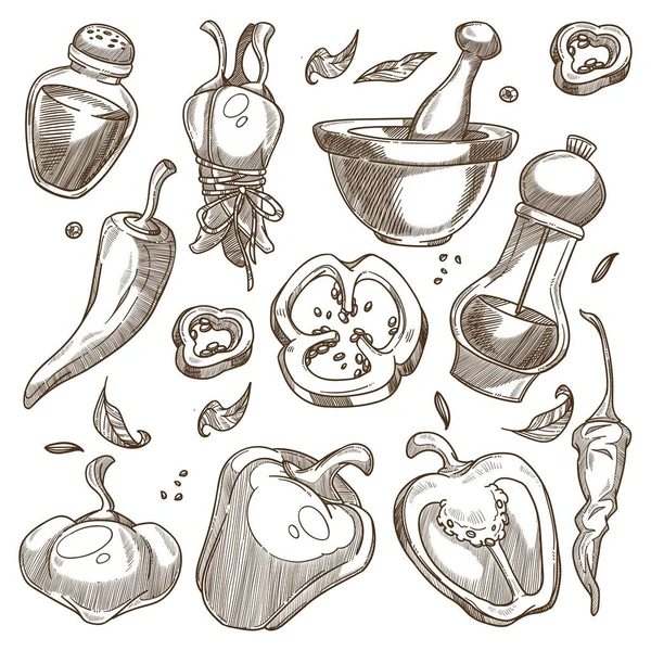 有机胡椒粉配料，天然调料作食物素描 — 图库矢量图片