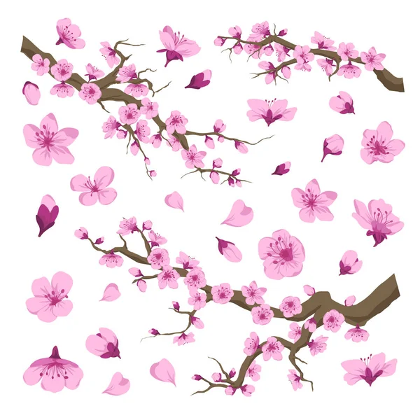 Sakura blossom, cherry tree with flowers pattern — Stock Vector