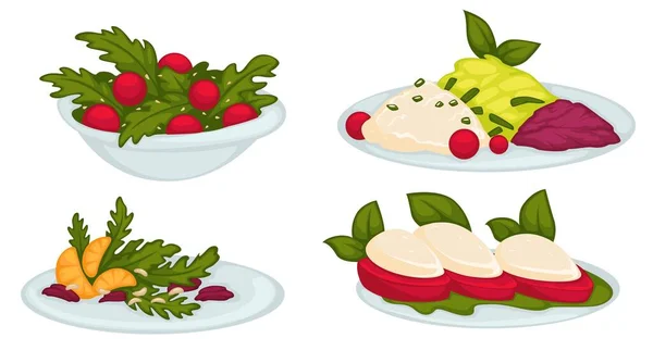 Salads with tomato and cheese, citrus and leaves — Stockvector