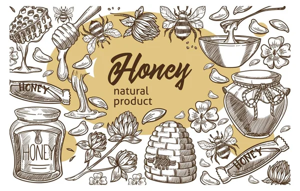 Honey natural products, organic ingredient cooking — Stockový vektor