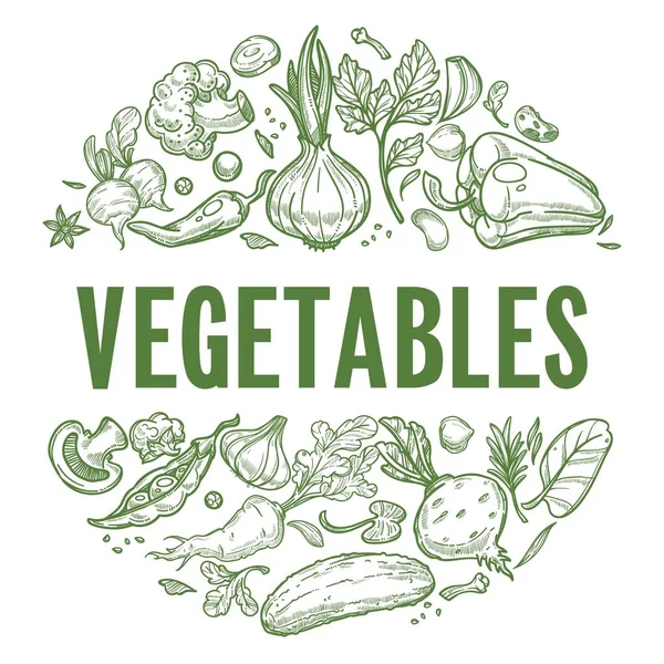 Vegetales vegetales frescos y etiquetas de productos — Vector de stock