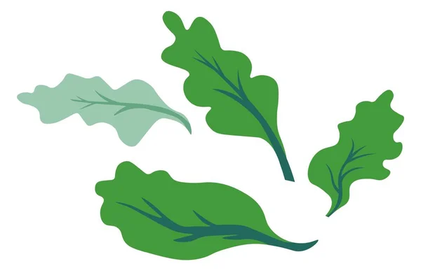 Wirbelnde Bäume oder Sträucher Blätter, grünes Laub — Stockvektor