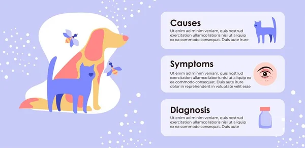 Allergi orsaker och symtom, diagnos info banner — Stock vektor