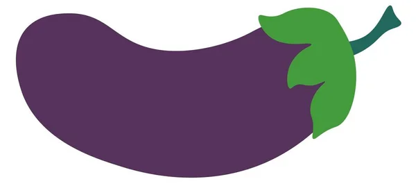 Ruwe aubergine groente, rijpe aubergine vector — Stockvector