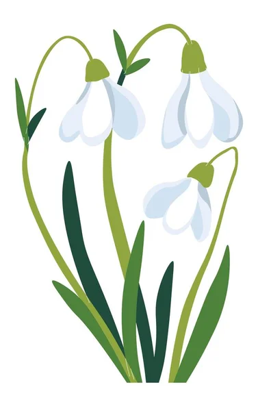 Flori de primăvară în floare, picături de zăpadă înfloritoare — Vector de stoc
