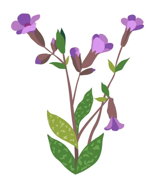 Flores silvestres violetas en flor, botánica floreciente — Archivo Imágenes Vectoriales