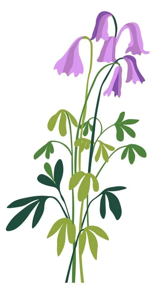 Wilde bloem in bloesem, bloeiende bloem vector — Stockvector