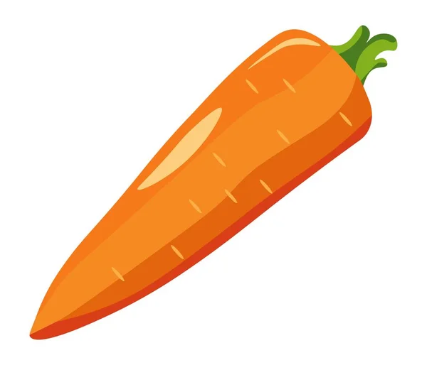 有机胡萝卜，健康蔬菜成熟蔬菜 — 图库矢量图片