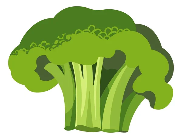 Makanannya enak dan sehat, mentah atau brokoli yang dimasak - Stok Vektor