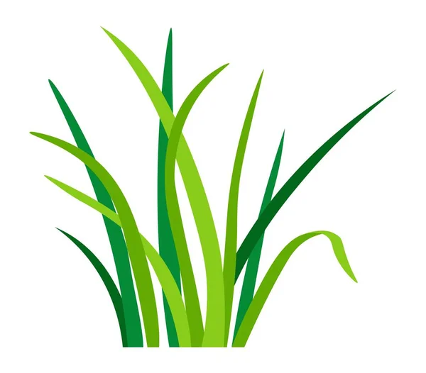 Graskräuter- oder Pflanzenanbau, Naturblumenbotanik — Stockvektor