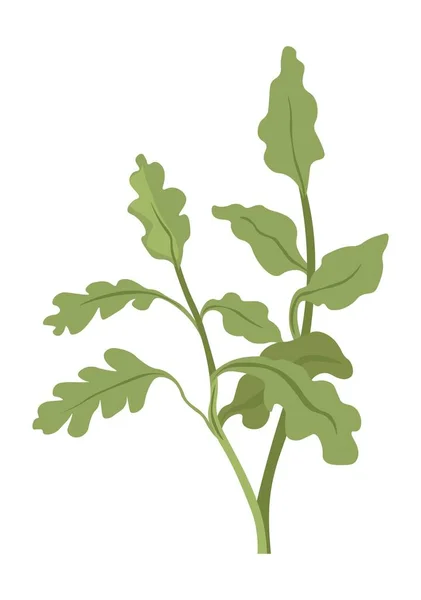 Wild grass or weed, flower with leaves foliage — Vector de stock