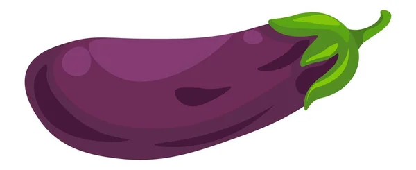 Aubergine or eggplant vegetable, organic veggies — Stockvektor