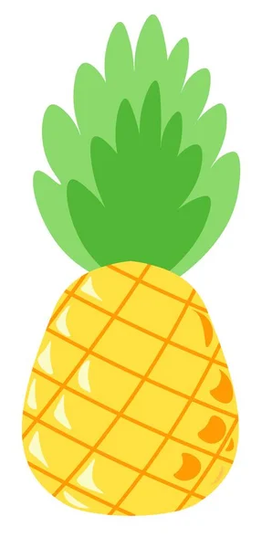 Pineapple tasty tropical and exotic fruit leaf — Vetor de Stock