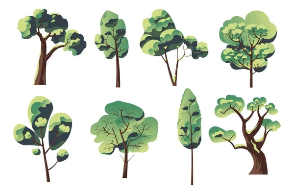 Park eller skogsträd, trä och grönskande grönska set — Stock vektor