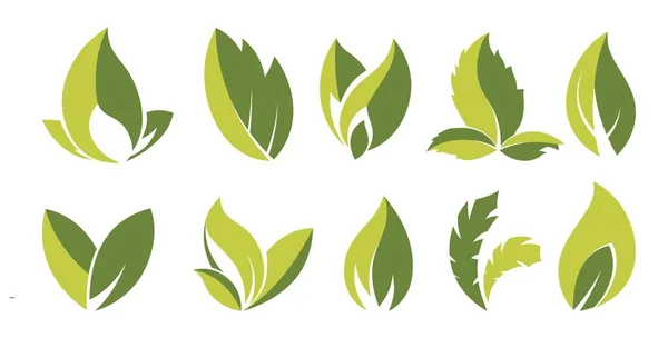 Hojas ecológicamente amigable emblema o signo de etiqueta — Archivo Imágenes Vectoriales