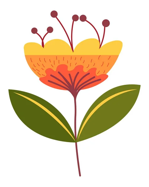 花の咲く葉、植物の植物の花 — ストックベクタ