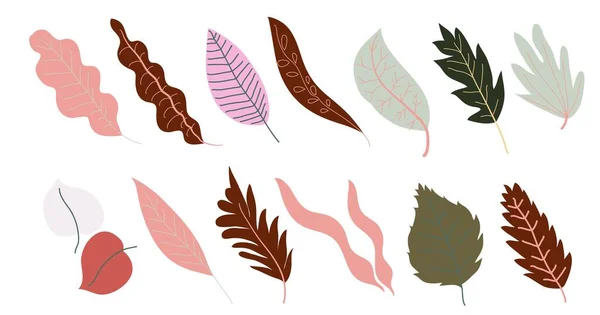 Feuilles d'automne, feuillage et branches vecteur de feuillage — Image vectorielle