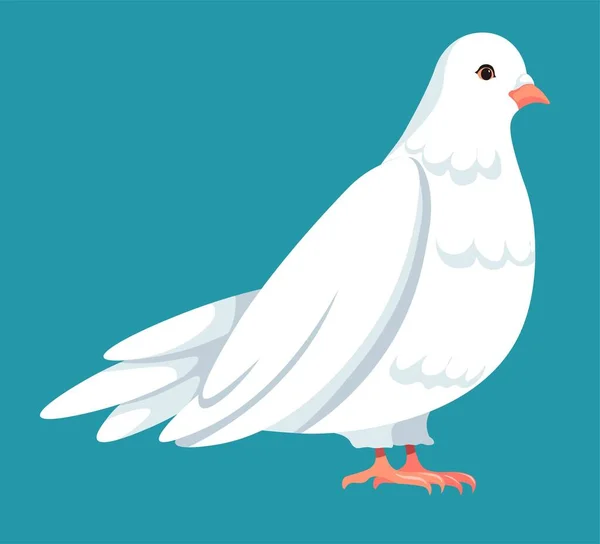 Голубь с пышными пернатыми крыльями, птичий вектор — стоковый вектор