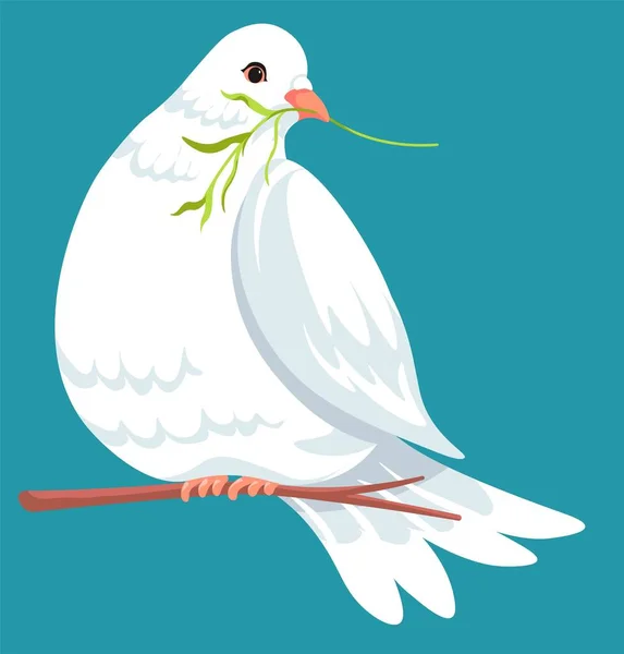 부리에 나뭇잎을 들고 있는 나뭇가지에 앉아 있는 비둘기 — 스톡 벡터