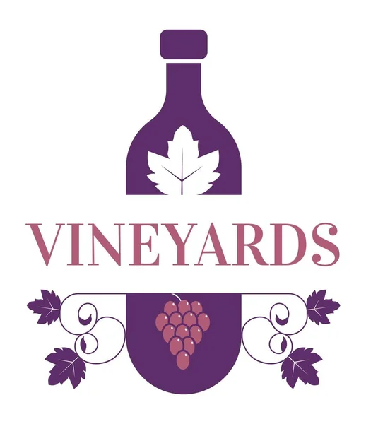 Viñedos vinificación, producción de alcohol de vino — Vector de stock